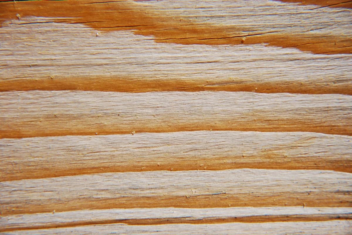 Red Oak wood grain