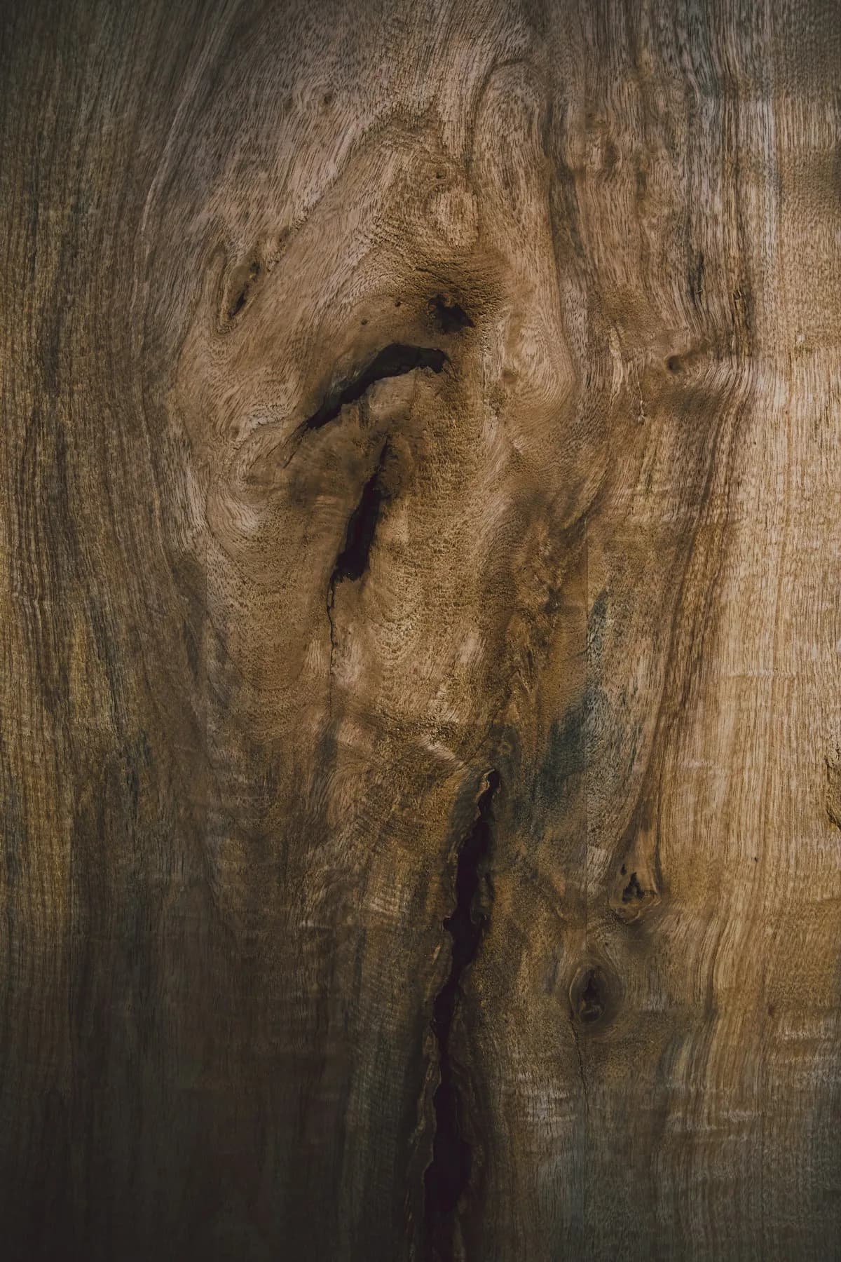 Walnut wood grain